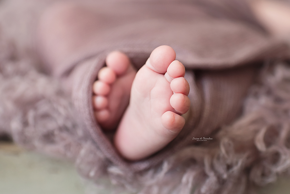 Detail image of a newborn baby girl's feet wrapped in a purple swaddle at her Dallas Newborn Session.